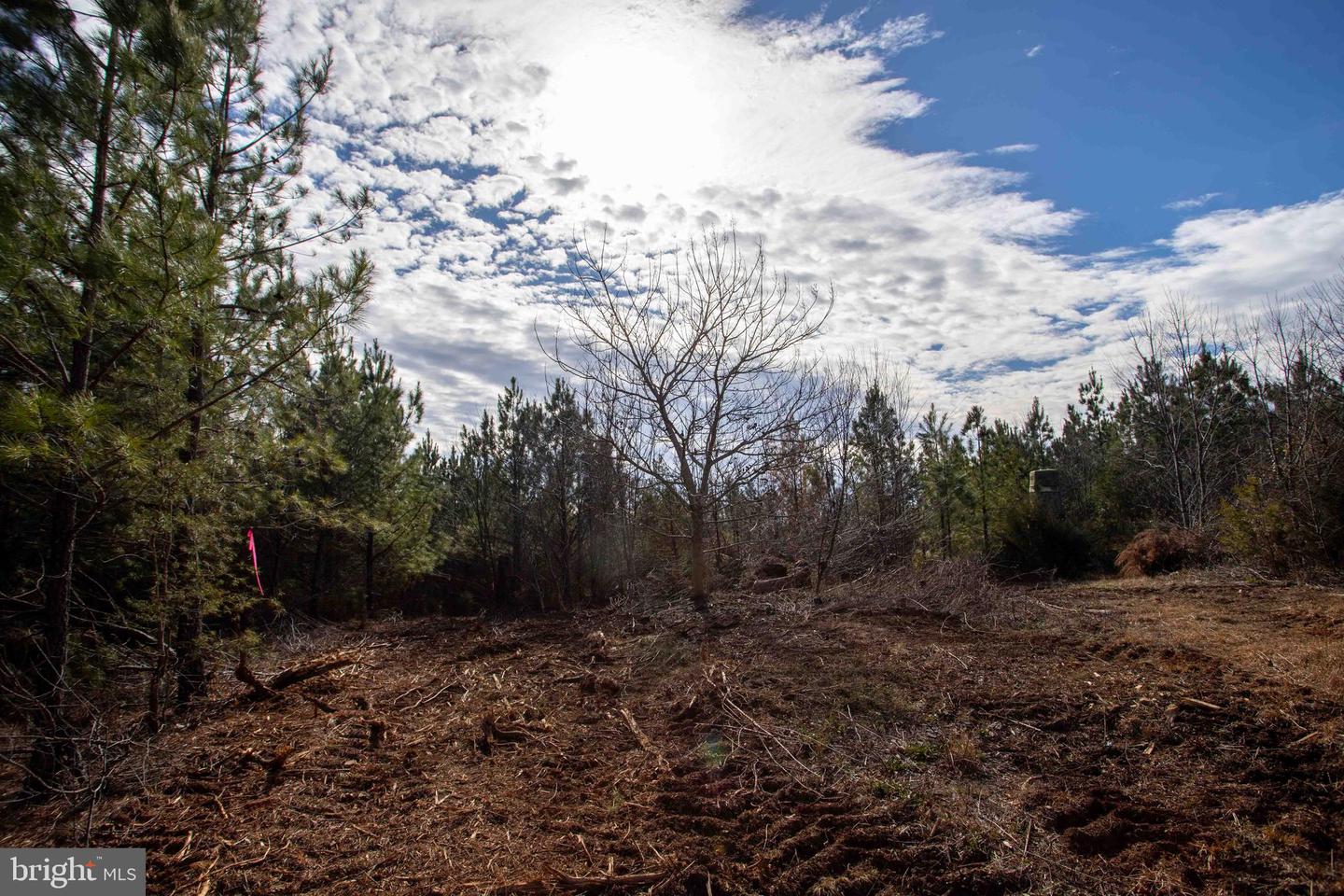 TBD W GRETNA, SANDY LEVEL, Virginia 24161, ,Land,For sale,TBD W GRETNA,VAPI2000122 MLS # VAPI2000122