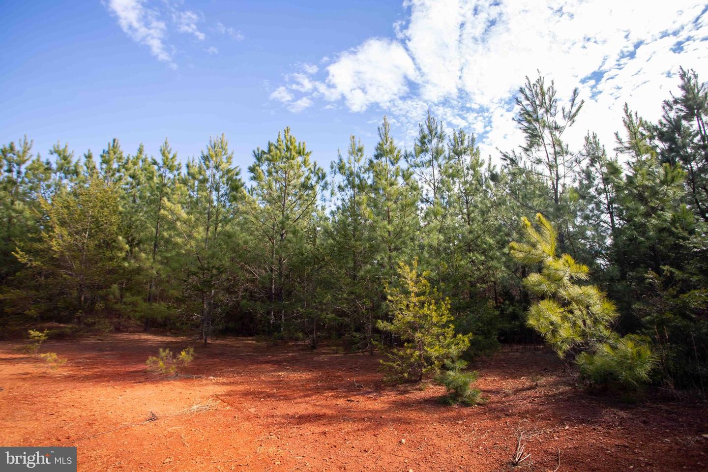 TBD W GRETNA, SANDY LEVEL, Virginia 24161, ,Land,For sale,TBD W GRETNA,VAPI2000122 MLS # VAPI2000122