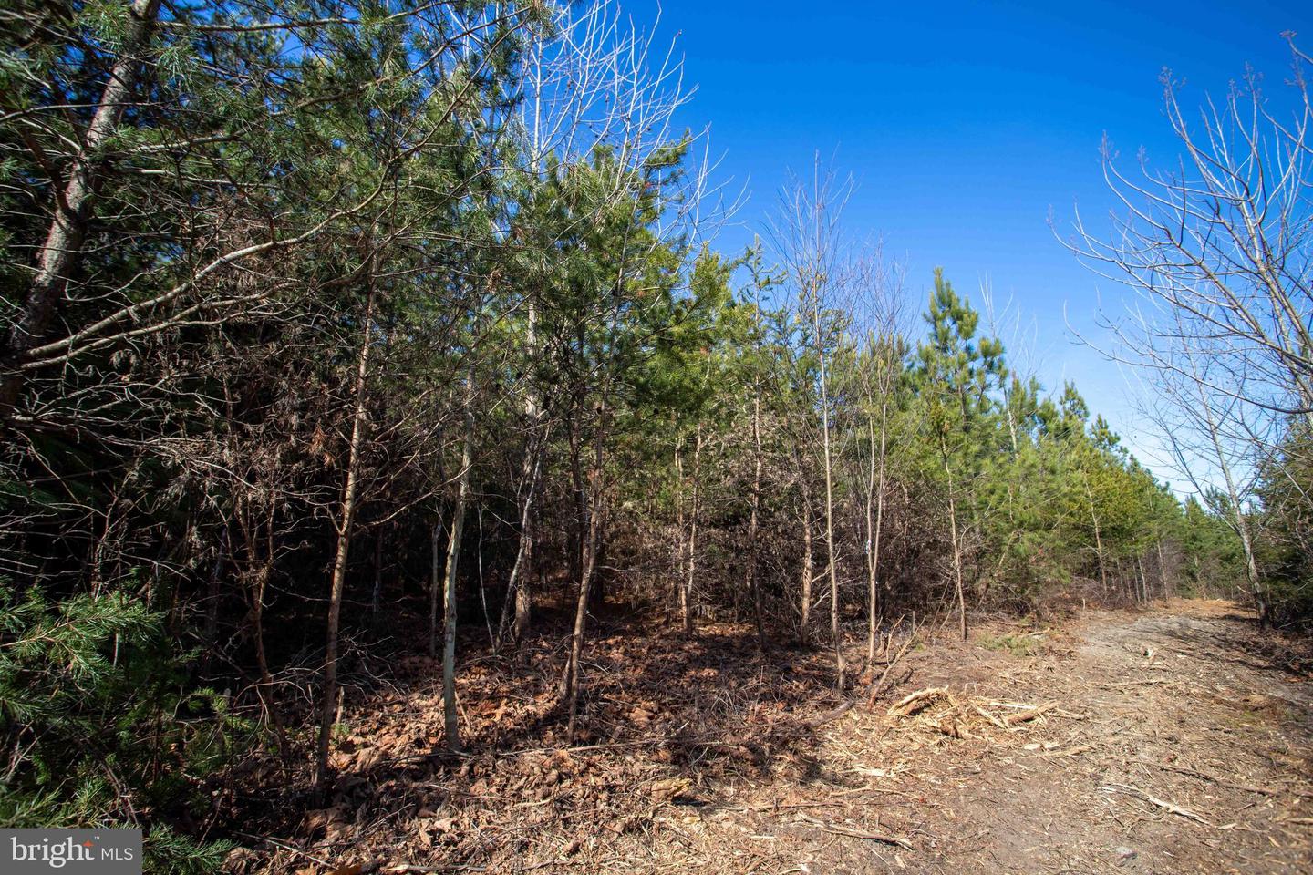TBD W GRETNA, SANDY LEVEL, Virginia 24161, ,Land,For sale,TBD W GRETNA,VAPI2000122 MLS # VAPI2000122