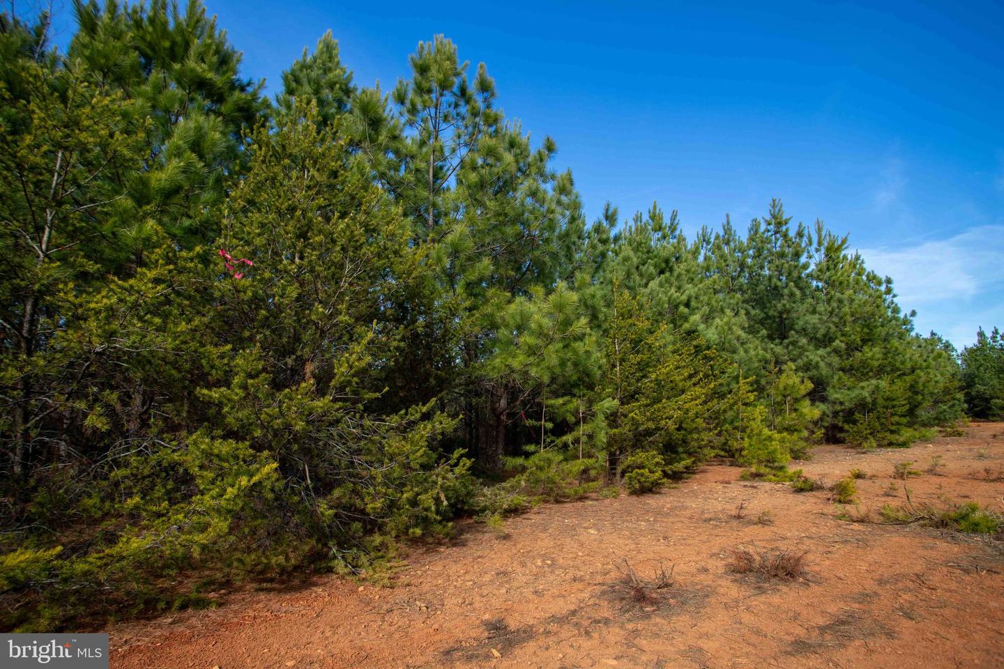 TBD W GRETNA, SANDY LEVEL, Virginia 24161, ,Land,For sale,TBD W GRETNA,VAPI2000122 MLS # VAPI2000122