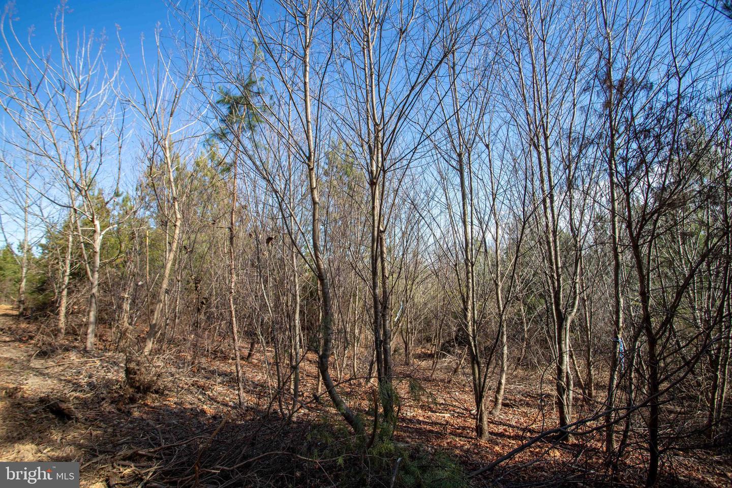 TBD W GRETNA, SANDY LEVEL, Virginia 24161, ,Land,For sale,TBD W GRETNA,VAPI2000122 MLS # VAPI2000122