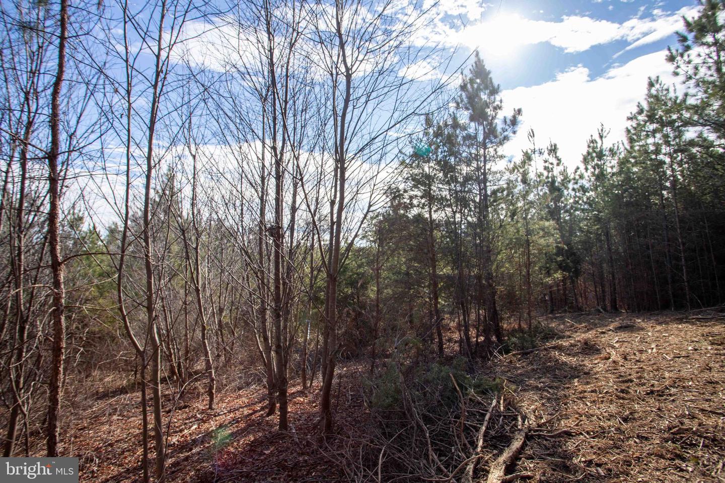 TBD W GRETNA, SANDY LEVEL, Virginia 24161, ,Land,For sale,TBD W GRETNA,VAPI2000122 MLS # VAPI2000122