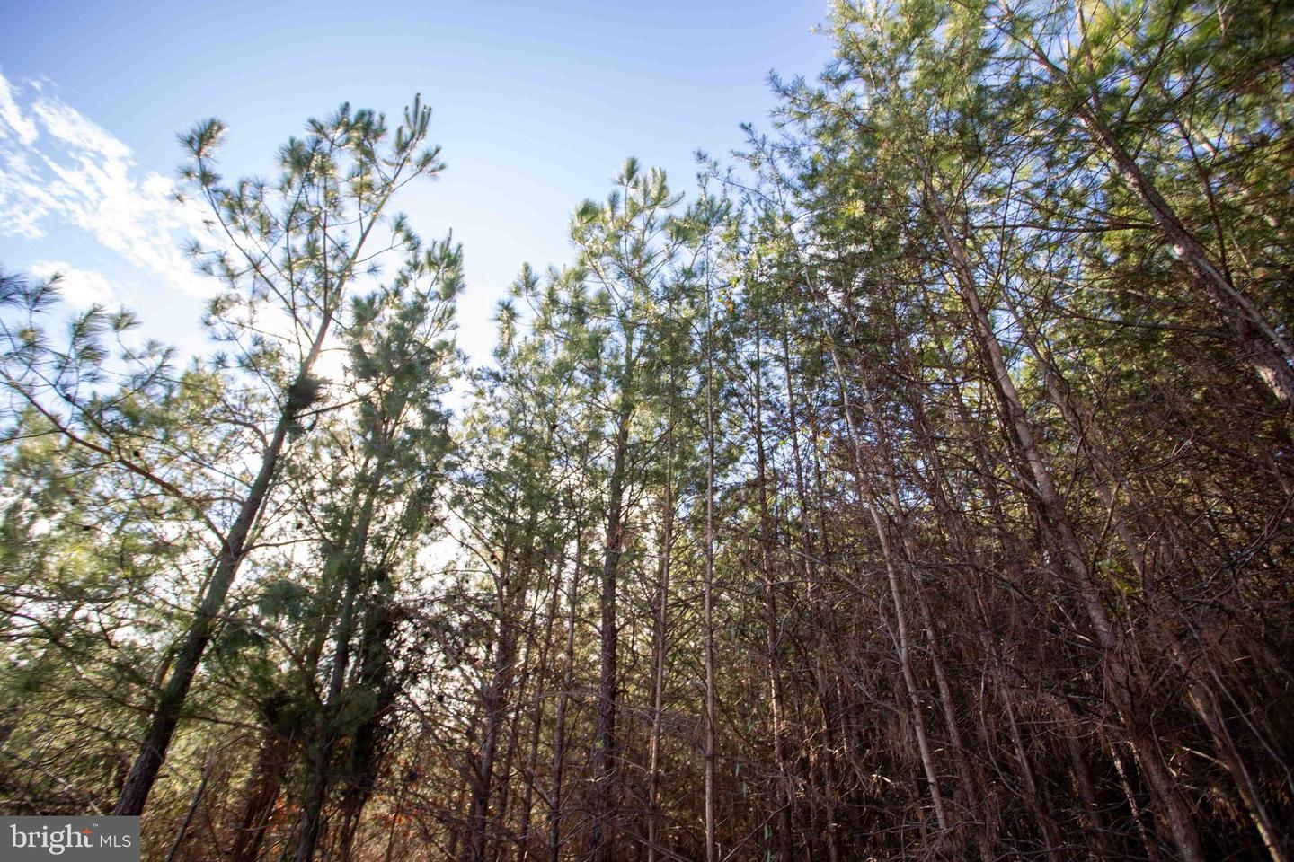 TBD W GRETNA, SANDY LEVEL, Virginia 24161, ,Land,For sale,TBD W GRETNA,VAPI2000122 MLS # VAPI2000122