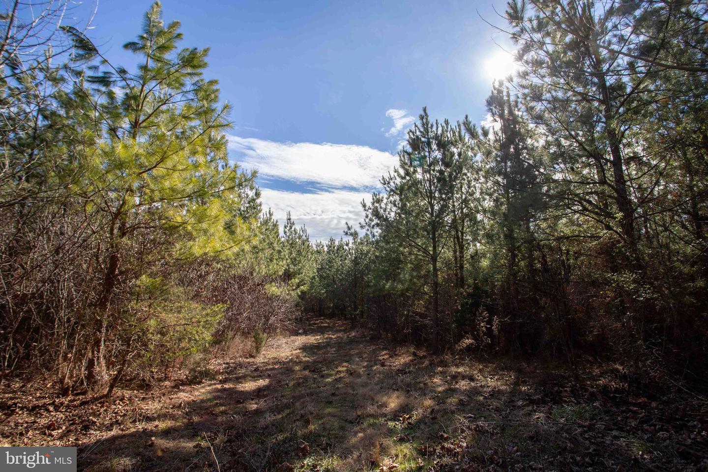 TBD W GRETNA, SANDY LEVEL, Virginia 24161, ,Land,For sale,TBD W GRETNA,VAPI2000122 MLS # VAPI2000122