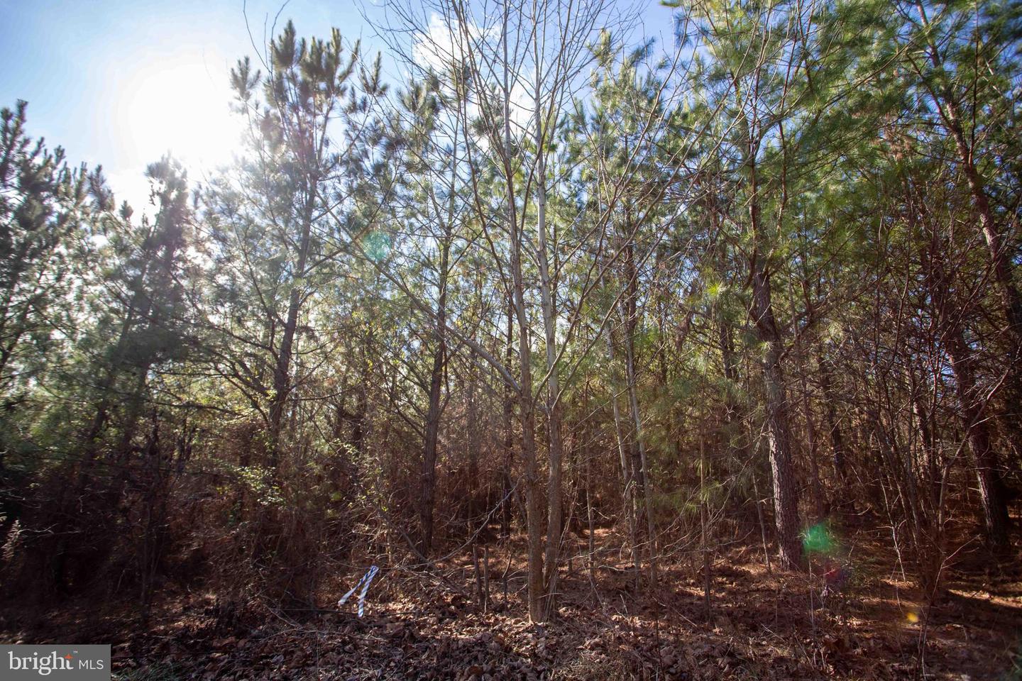 TBD W GRETNA, SANDY LEVEL, Virginia 24161, ,Land,For sale,TBD W GRETNA,VAPI2000122 MLS # VAPI2000122