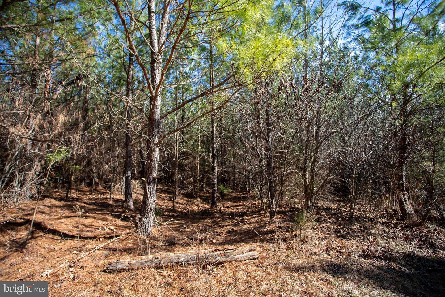 TBD W GRETNA, SANDY LEVEL, Virginia 24161, ,Land,For sale,TBD W GRETNA,VAPI2000122 MLS # VAPI2000122