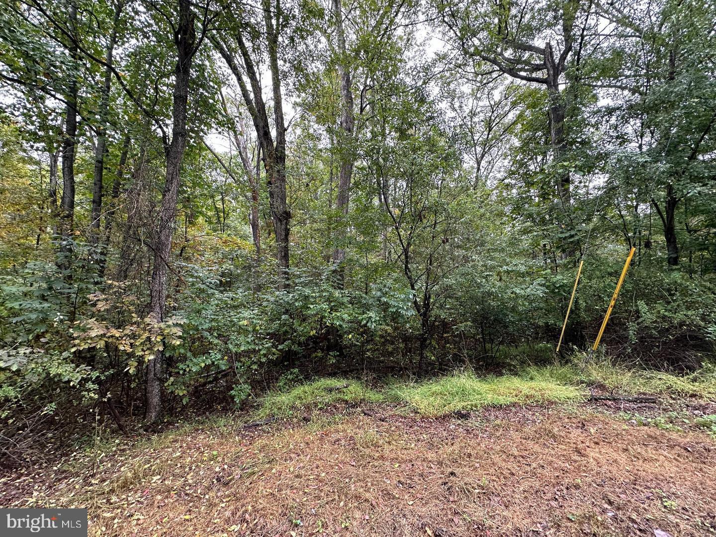 181 OAK DR, WINCHESTER, Virginia 22603, ,Land,For sale,181 OAK DR,VAFV2039452 MLS # VAFV2039452 181 OAK DR, WINCHESTER, Virginia 22603, ,Land,For sale,181 OAK DR,VAFV2039452 MLS # VAFV2039452