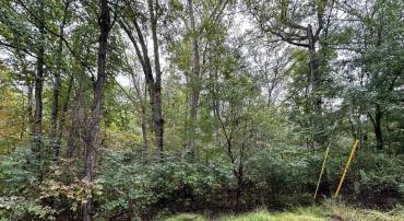 181 OAK DR, WINCHESTER, Virginia 22603, ,Land,For sale,181 OAK DR,VAFV2039452 MLS # VAFV2039452