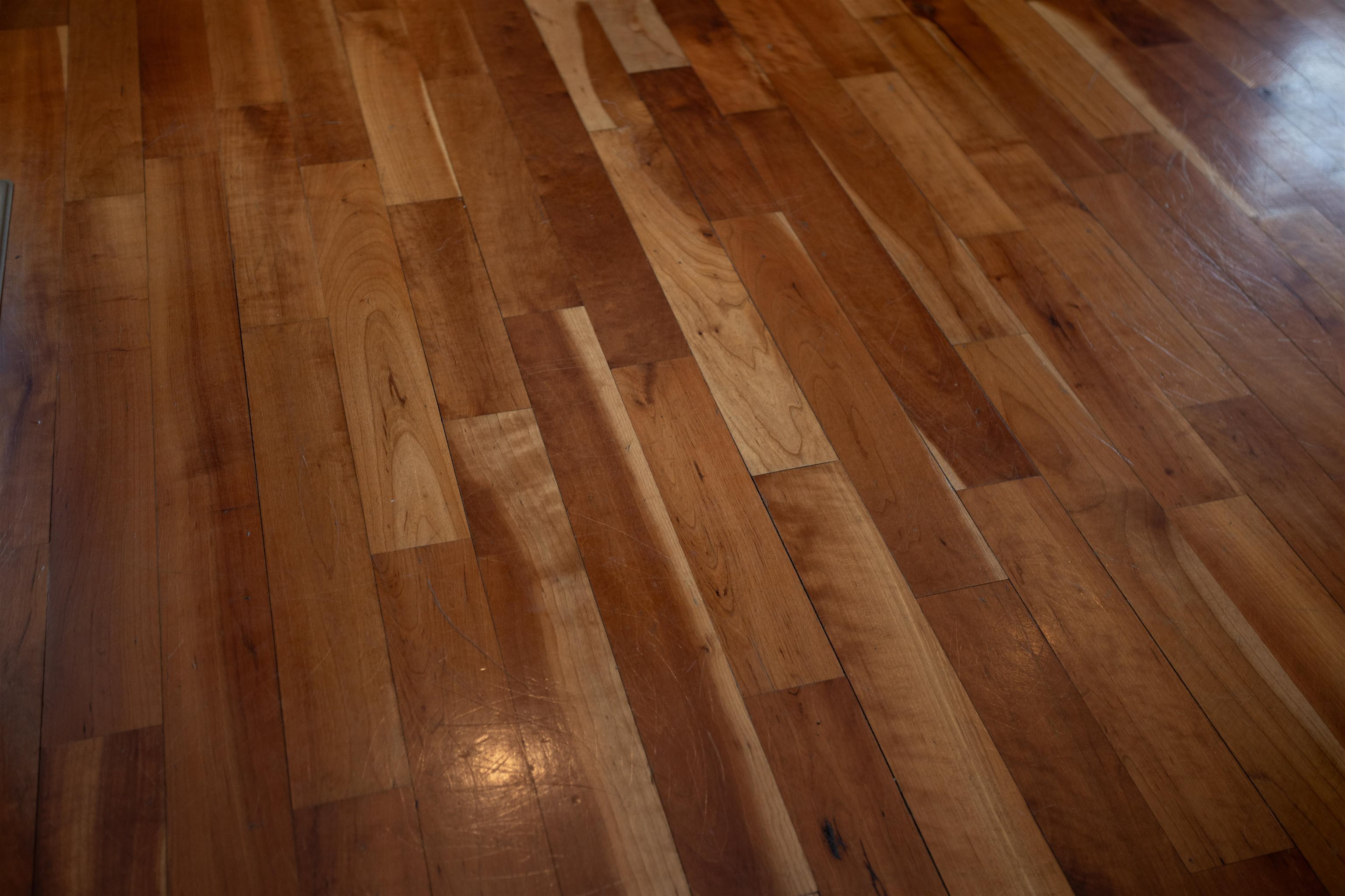 203 KESWICK CIR, DAYTON, Virginia 22821, 4 Bedrooms Bedrooms, ,2 BathroomsBathrooms,Residential,203 KESWICK CIR,673099 MLS # 673099