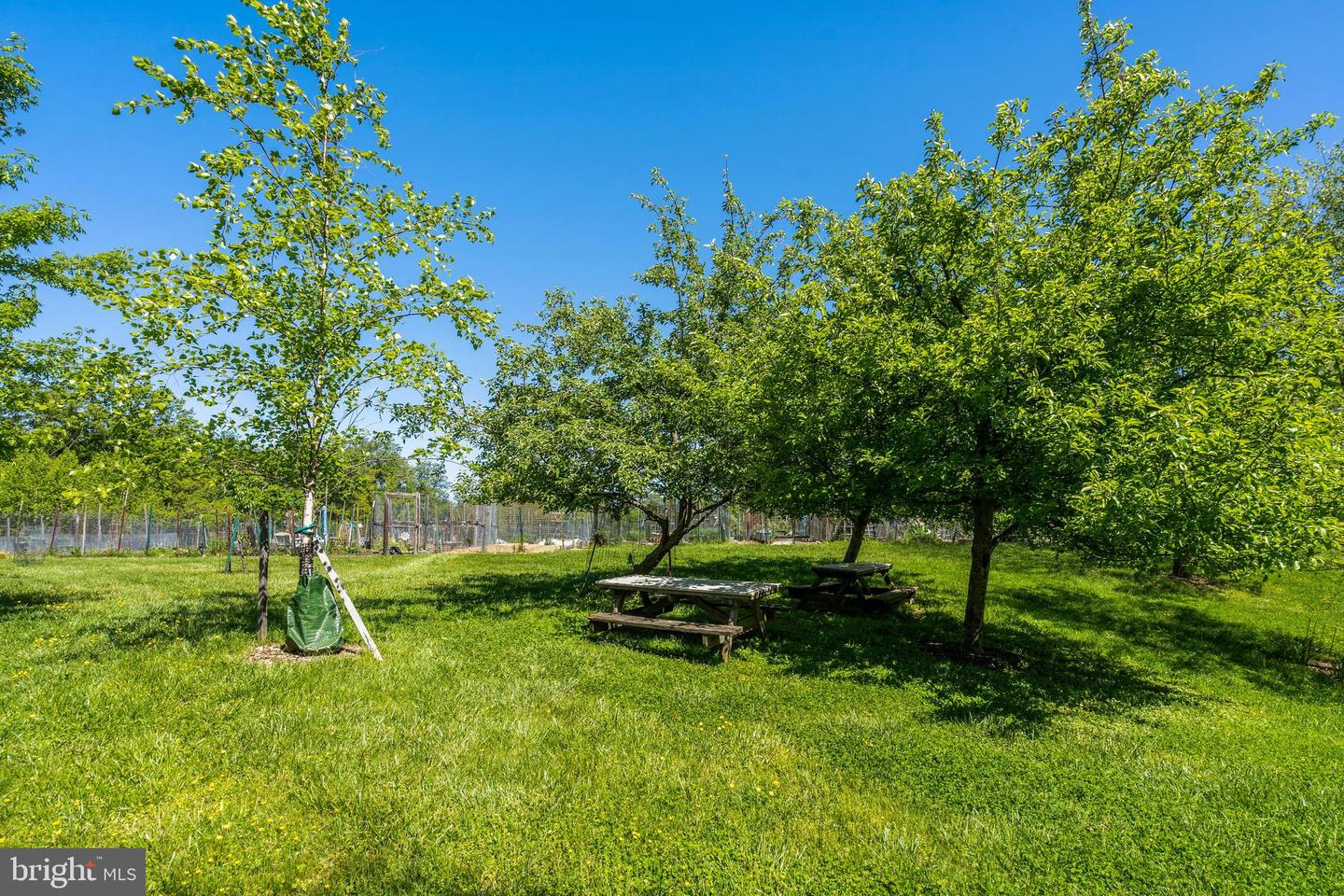 3821 NEWARK ST NW #B440, WASHINGTON, District Of Columbia 20016, 3 Bedrooms Bedrooms, ,2 BathroomsBathrooms,Residential,For sale,3821 NEWARK ST NW #B440,DCDC2243994 MLS # DCDC2243994