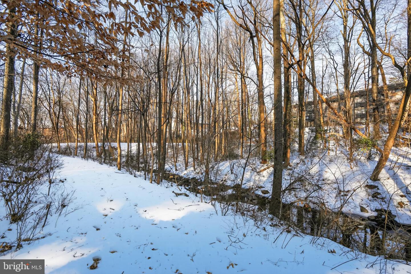 7703 LAFAYETTE FOREST DR #24, ANNANDALE, Virginia 22003, 1 Bedroom Bedrooms, 2 Rooms Rooms,1 BathroomBathrooms,Residential,For sale,7703 LAFAYETTE FOREST DR #24,VAFX2289418 MLS # VAFX2289418