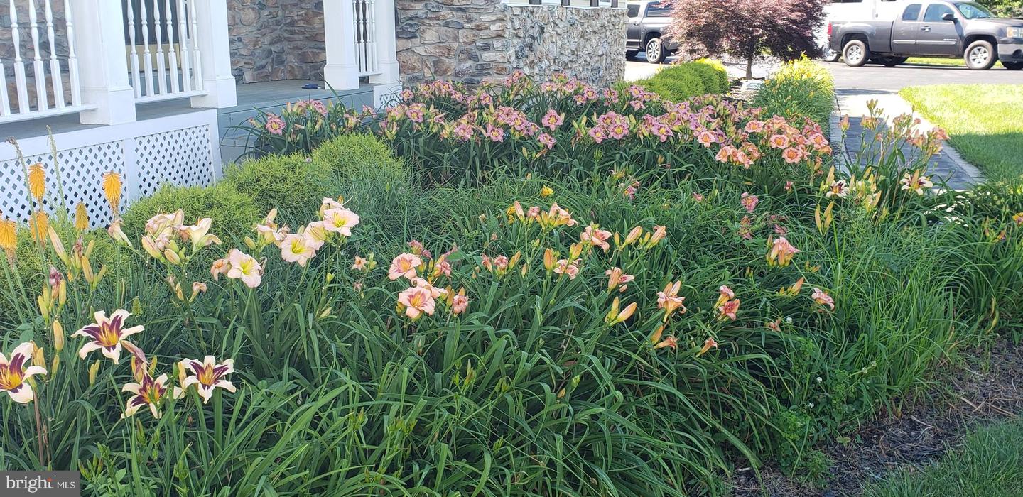 38607 MILLSTONE DRIVE, PURCELLVILLE, Virginia 20132, 4 Bedrooms Bedrooms, ,3 BathroomsBathrooms,Residential,For sale,38607 MILLSTONE DRIVE,VALO2115380 MLS # VALO2115380