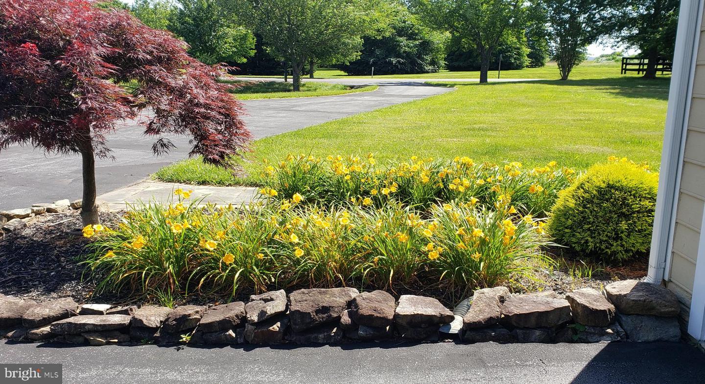 38607 MILLSTONE DRIVE, PURCELLVILLE, Virginia 20132, 4 Bedrooms Bedrooms, ,3 BathroomsBathrooms,Residential,For sale,38607 MILLSTONE DRIVE,VALO2115380 MLS # VALO2115380