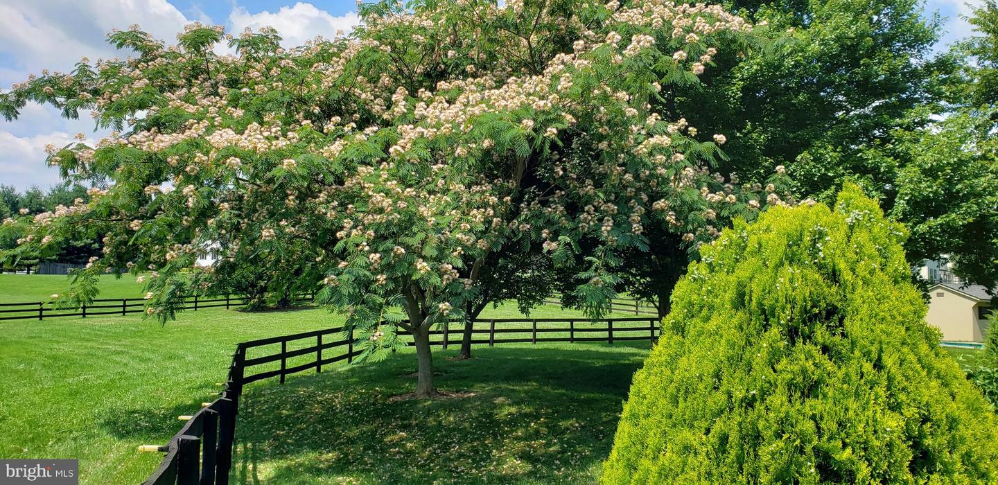 38607 MILLSTONE DRIVE, PURCELLVILLE, Virginia 20132, 4 Bedrooms Bedrooms, ,3 BathroomsBathrooms,Residential,For sale,38607 MILLSTONE DRIVE,VALO2115380 MLS # VALO2115380