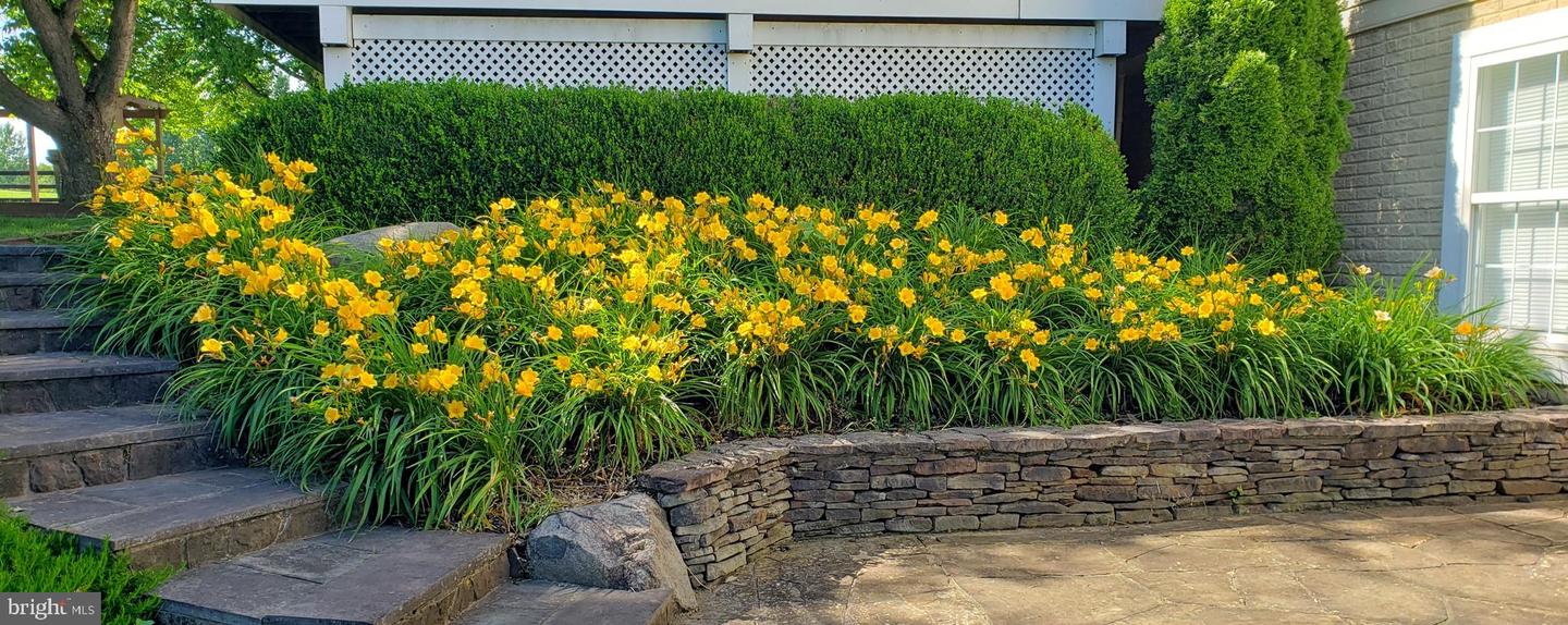 38607 MILLSTONE DRIVE, PURCELLVILLE, Virginia 20132, 4 Bedrooms Bedrooms, ,3 BathroomsBathrooms,Residential,For sale,38607 MILLSTONE DRIVE,VALO2115380 MLS # VALO2115380