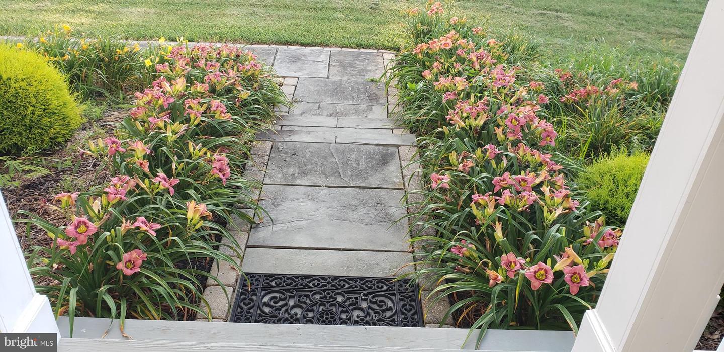 38607 MILLSTONE DRIVE, PURCELLVILLE, Virginia 20132, 4 Bedrooms Bedrooms, ,3 BathroomsBathrooms,Residential,For sale,38607 MILLSTONE DRIVE,VALO2115380 MLS # VALO2115380