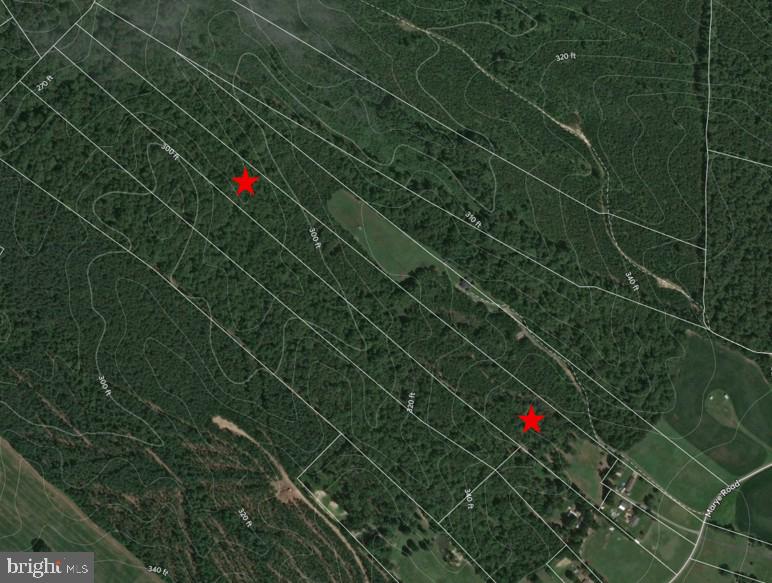 8219 MARYE RD #LOT C, PARTLOW, Virginia 22534, ,Land,For sale,8219 MARYE RD #LOT C,VASP2039122 MLS # VASP2039122