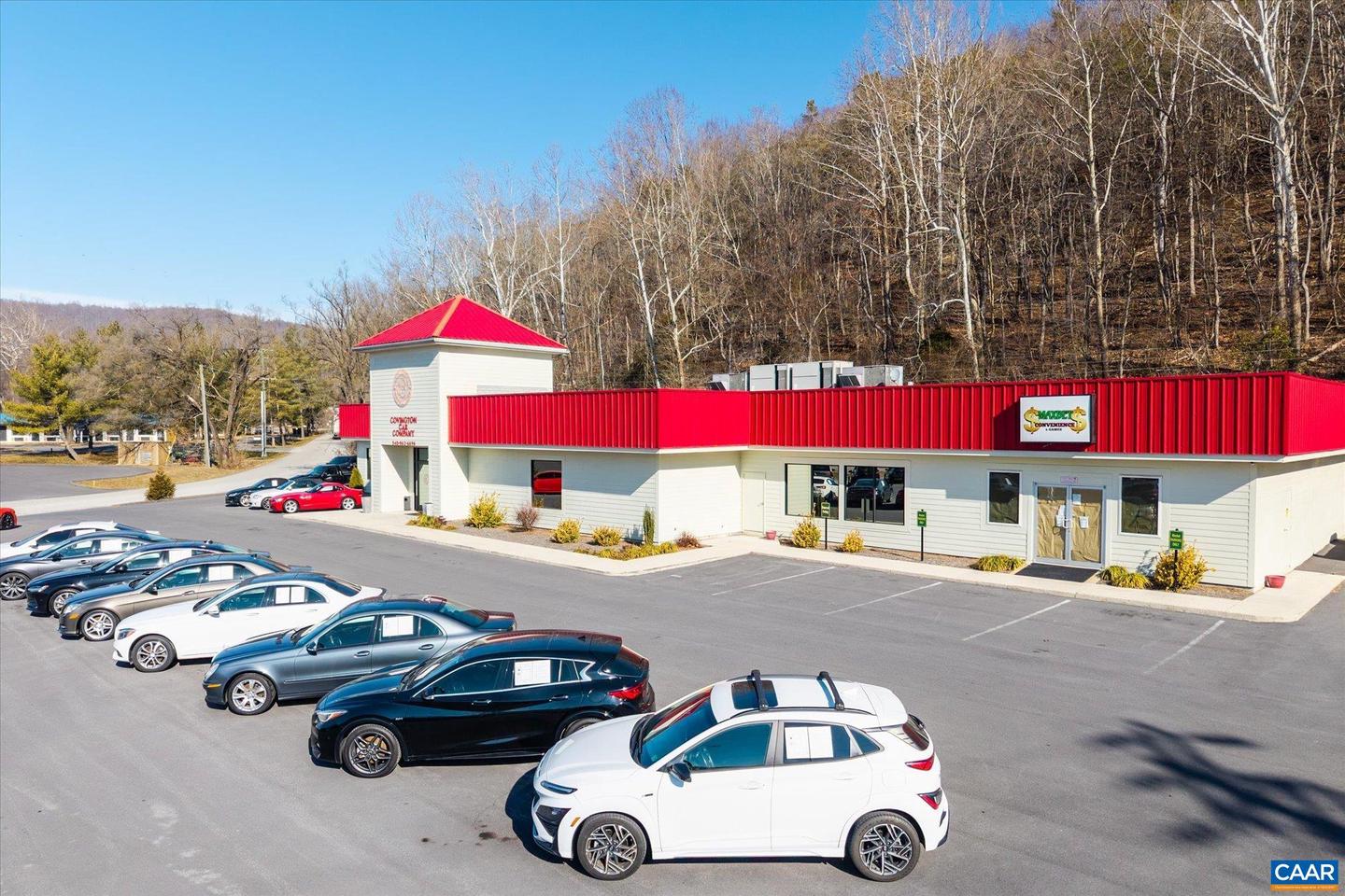 912 VALLEY RIDGE RD, COVINGTON, Virginia 24426, ,Land,For sale,912 VALLEY RIDGE RD,673110 MLS # 673110