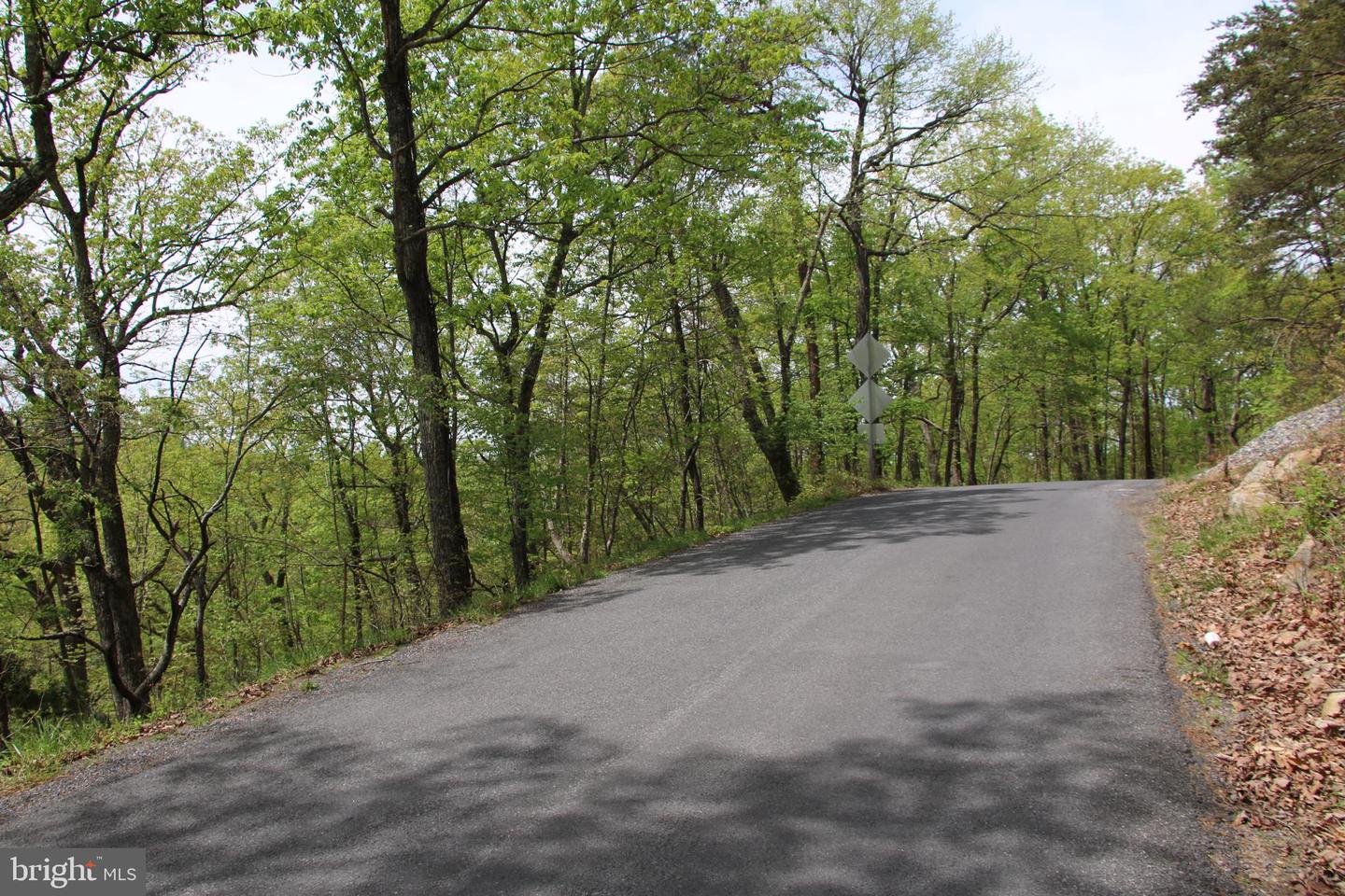 DRUMMER HILL RD, FRONT ROYAL, Virginia 22630, ,Land,For sale,DRUMMER HILL RD,VAWR2010946 MLS # VAWR2010946 DRUMMER HILL RD, FRONT ROYAL, Virginia 22630, ,Land,For sale,DRUMMER HILL RD,VAWR2010946 MLS # VAWR2010946