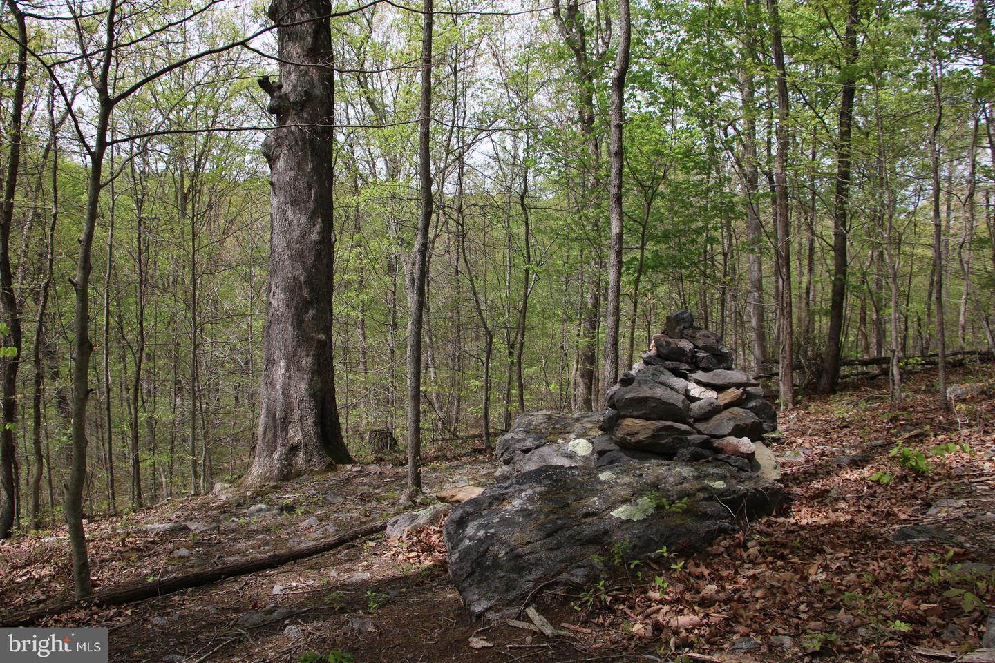 DRUMMER HILL RD, FRONT ROYAL, Virginia 22630, ,Land,For sale,DRUMMER HILL RD,VAWR2010946 MLS # VAWR2010946 DRUMMER HILL RD, FRONT ROYAL, Virginia 22630, ,Land,For sale,DRUMMER HILL RD,VAWR2010946 MLS # VAWR2010946