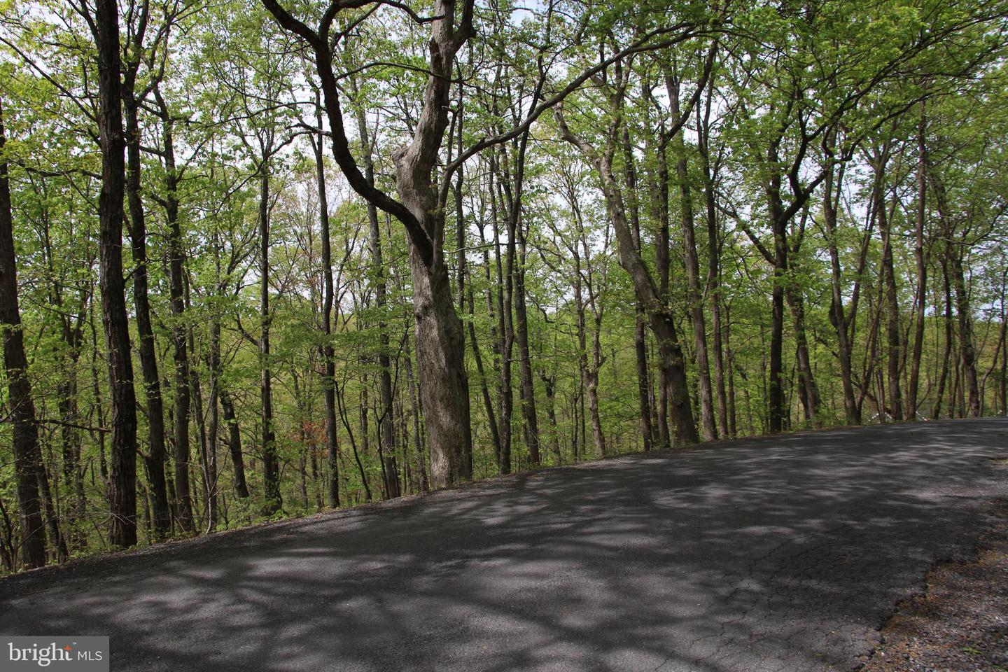 DRUMMER HILL RD, FRONT ROYAL, Virginia 22630, ,Land,For sale,DRUMMER HILL RD,VAWR2010946 MLS # VAWR2010946 DRUMMER HILL RD, FRONT ROYAL, Virginia 22630, ,Land,For sale,DRUMMER HILL RD,VAWR2010946 MLS # VAWR2010946