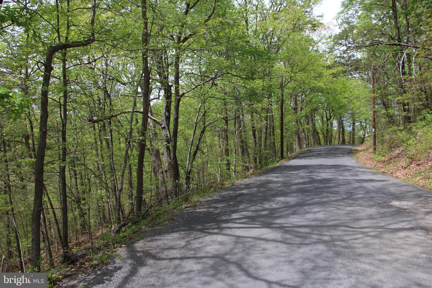 DRUMMER HILL RD, FRONT ROYAL, Virginia 22630, ,Land,For sale,DRUMMER HILL RD,VAWR2010946 MLS # VAWR2010946 DRUMMER HILL RD, FRONT ROYAL, Virginia 22630, ,Land,For sale,DRUMMER HILL RD,VAWR2010946 MLS # VAWR2010946