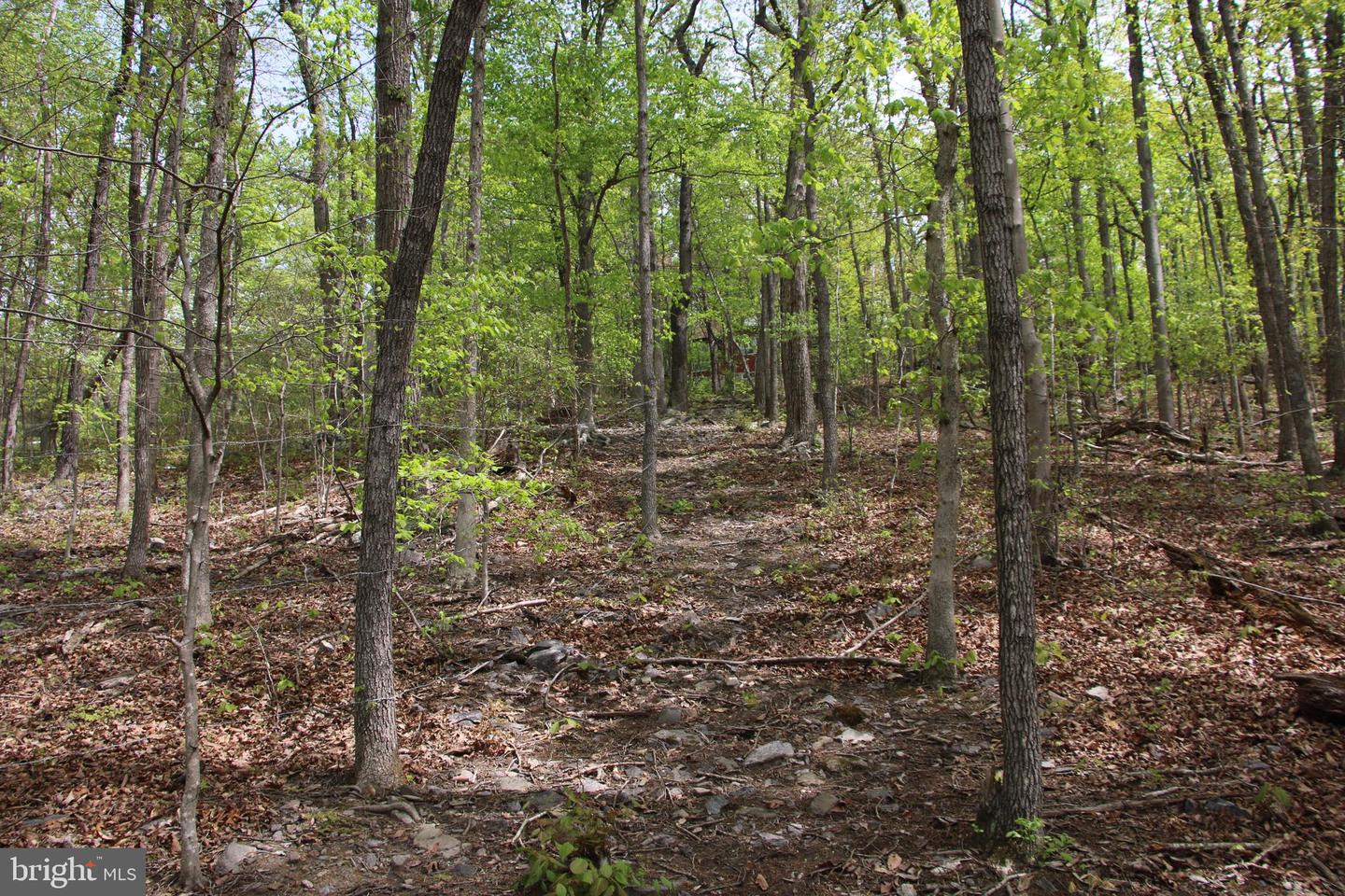 DRUMMER HILL RD, FRONT ROYAL, Virginia 22630, ,Land,For sale,DRUMMER HILL RD,VAWR2010946 MLS # VAWR2010946 DRUMMER HILL RD, FRONT ROYAL, Virginia 22630, ,Land,For sale,DRUMMER HILL RD,VAWR2010946 MLS # VAWR2010946