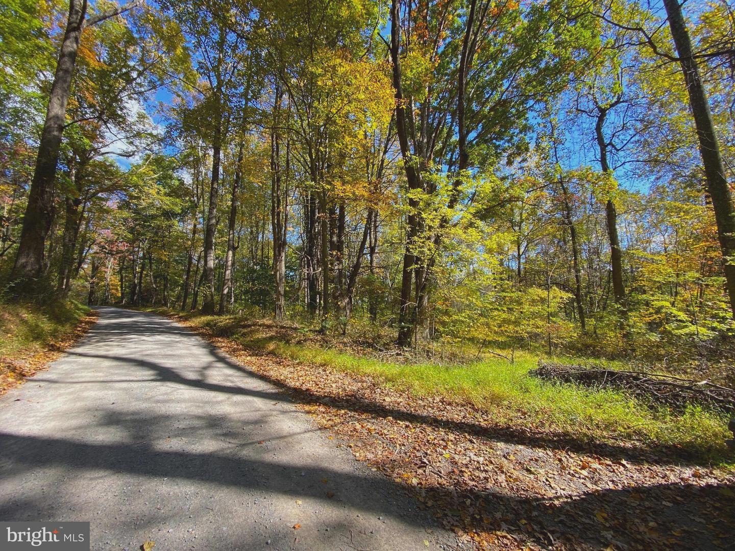 0 CASTLETON VIEW ROAD, CASTLETON, Virginia 22716, ,Land,For sale,0 CASTLETON VIEW ROAD,VARP2002454 MLS # VARP2002454