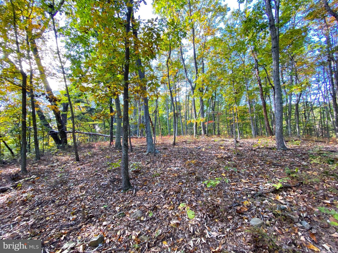 0 CASTLETON VIEW ROAD, CASTLETON, Virginia 22716, ,Land,For sale,0 CASTLETON VIEW ROAD,VARP2002454 MLS # VARP2002454