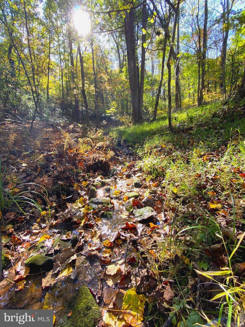 0 CASTLETON VIEW ROAD, CASTLETON, Virginia 22716, ,Land,For sale,0 CASTLETON VIEW ROAD,VARP2002454 MLS # VARP2002454