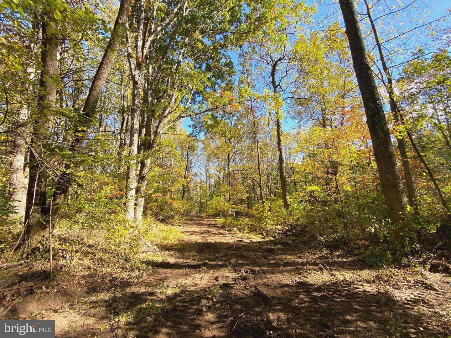 0 CASTLETON VIEW ROAD, CASTLETON, Virginia 22716, ,Land,For sale,0 CASTLETON VIEW ROAD,VARP2002454 MLS # VARP2002454