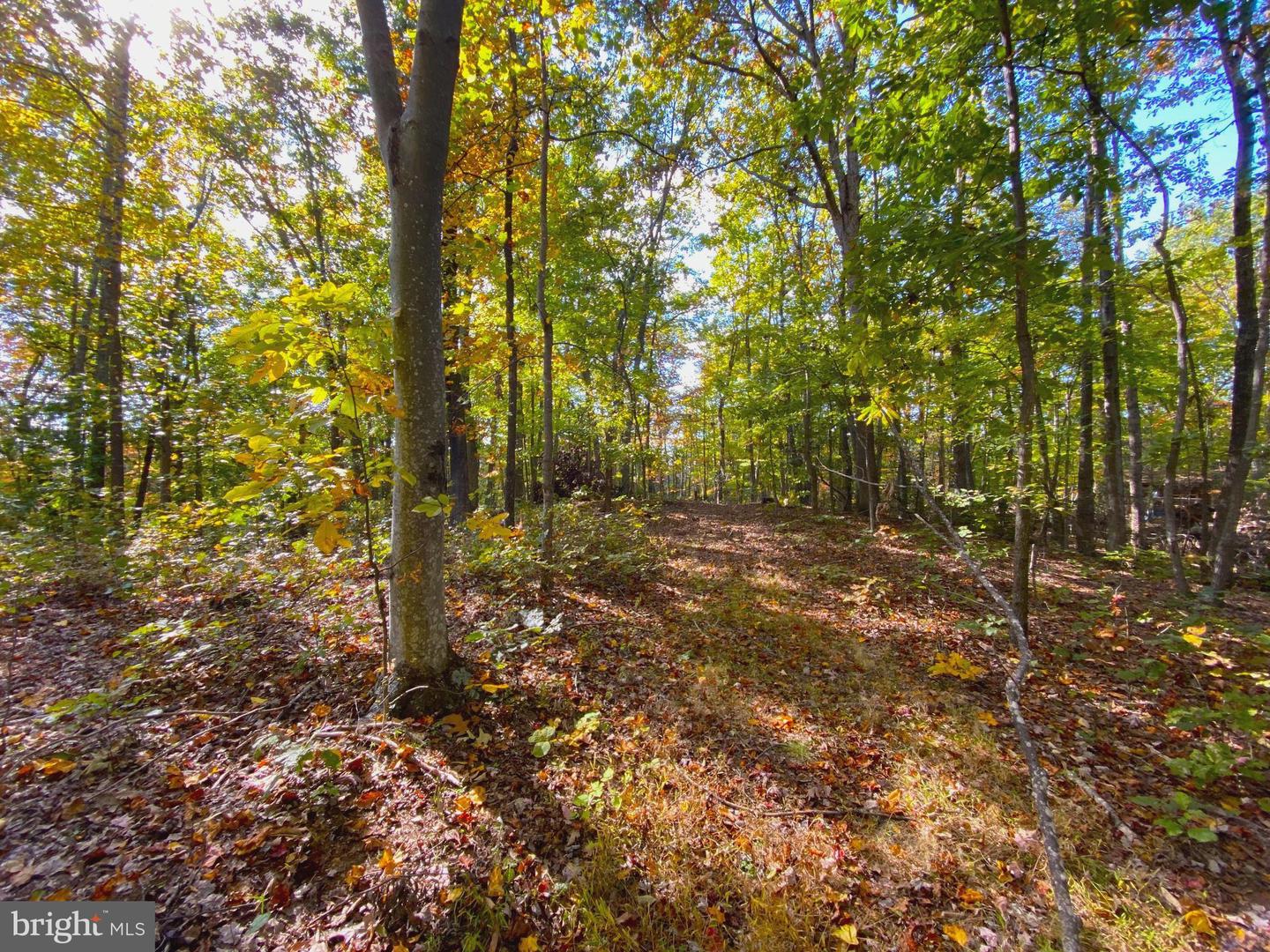 0 CASTLETON VIEW ROAD, CASTLETON, Virginia 22716, ,Land,For sale,0 CASTLETON VIEW ROAD,VARP2002454 MLS # VARP2002454