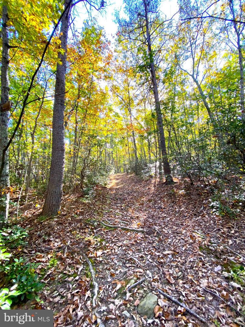 0 CASTLETON VIEW ROAD, CASTLETON, Virginia 22716, ,Land,For sale,0 CASTLETON VIEW ROAD,VARP2002454 MLS # VARP2002454