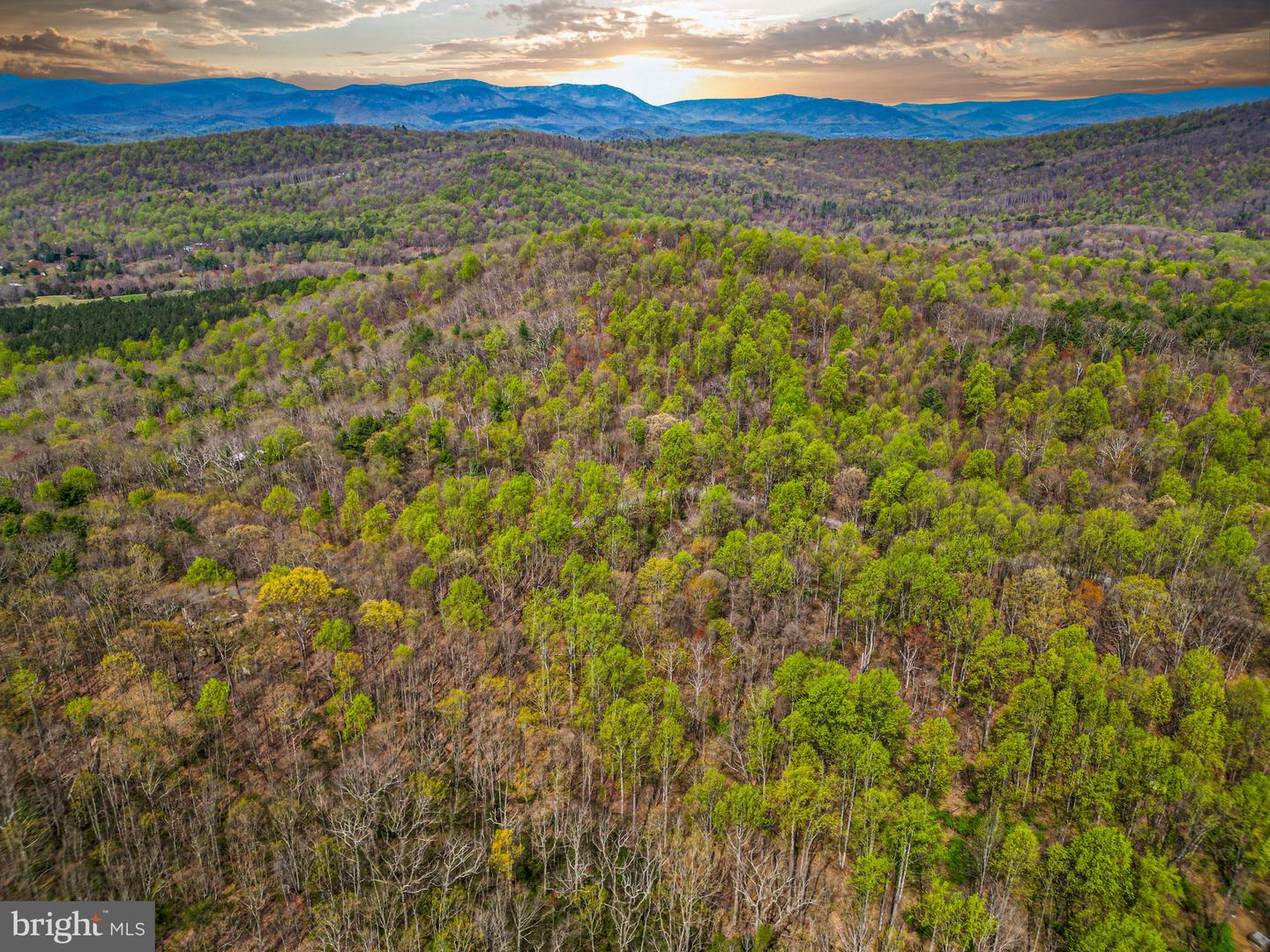 0 CASTLETON VIEW ROAD, CASTLETON, Virginia 22716, ,Land,For sale,0 CASTLETON VIEW ROAD,VARP2002454 MLS # VARP2002454