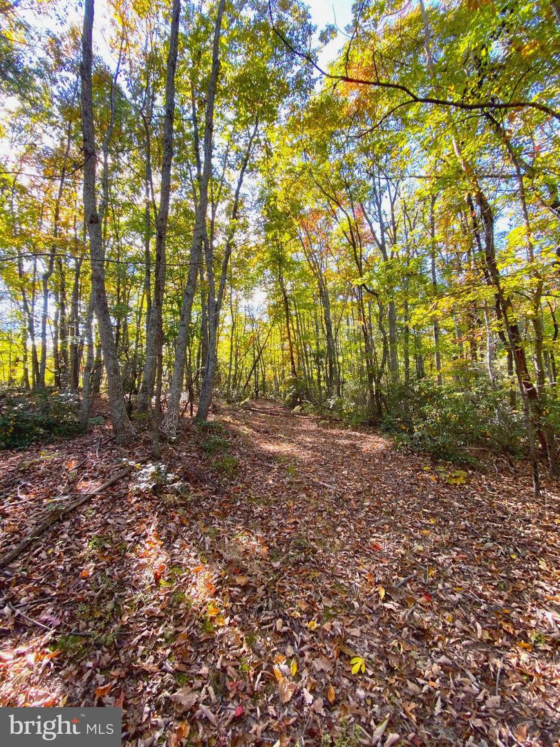 0 CASTLETON VIEW ROAD, CASTLETON, Virginia 22716, ,Land,For sale,0 CASTLETON VIEW ROAD,VARP2002454 MLS # VARP2002454