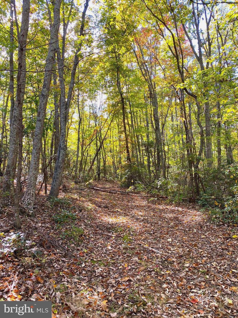 0 CASTLETON VIEW ROAD, CASTLETON, Virginia 22716, ,Land,For sale,0 CASTLETON VIEW ROAD,VARP2002454 MLS # VARP2002454