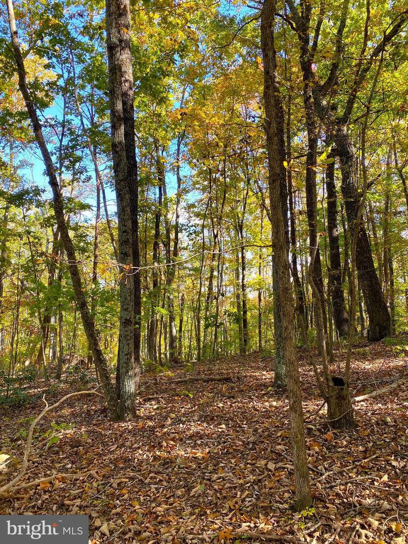 0 CASTLETON VIEW ROAD, CASTLETON, Virginia 22716, ,Land,For sale,0 CASTLETON VIEW ROAD,VARP2002454 MLS # VARP2002454