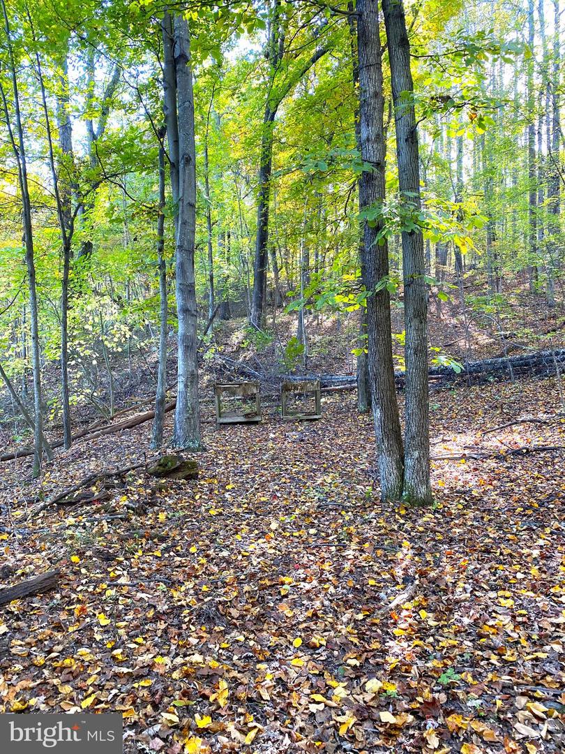 0 CASTLETON VIEW ROAD, CASTLETON, Virginia 22716, ,Land,For sale,0 CASTLETON VIEW ROAD,VARP2002454 MLS # VARP2002454