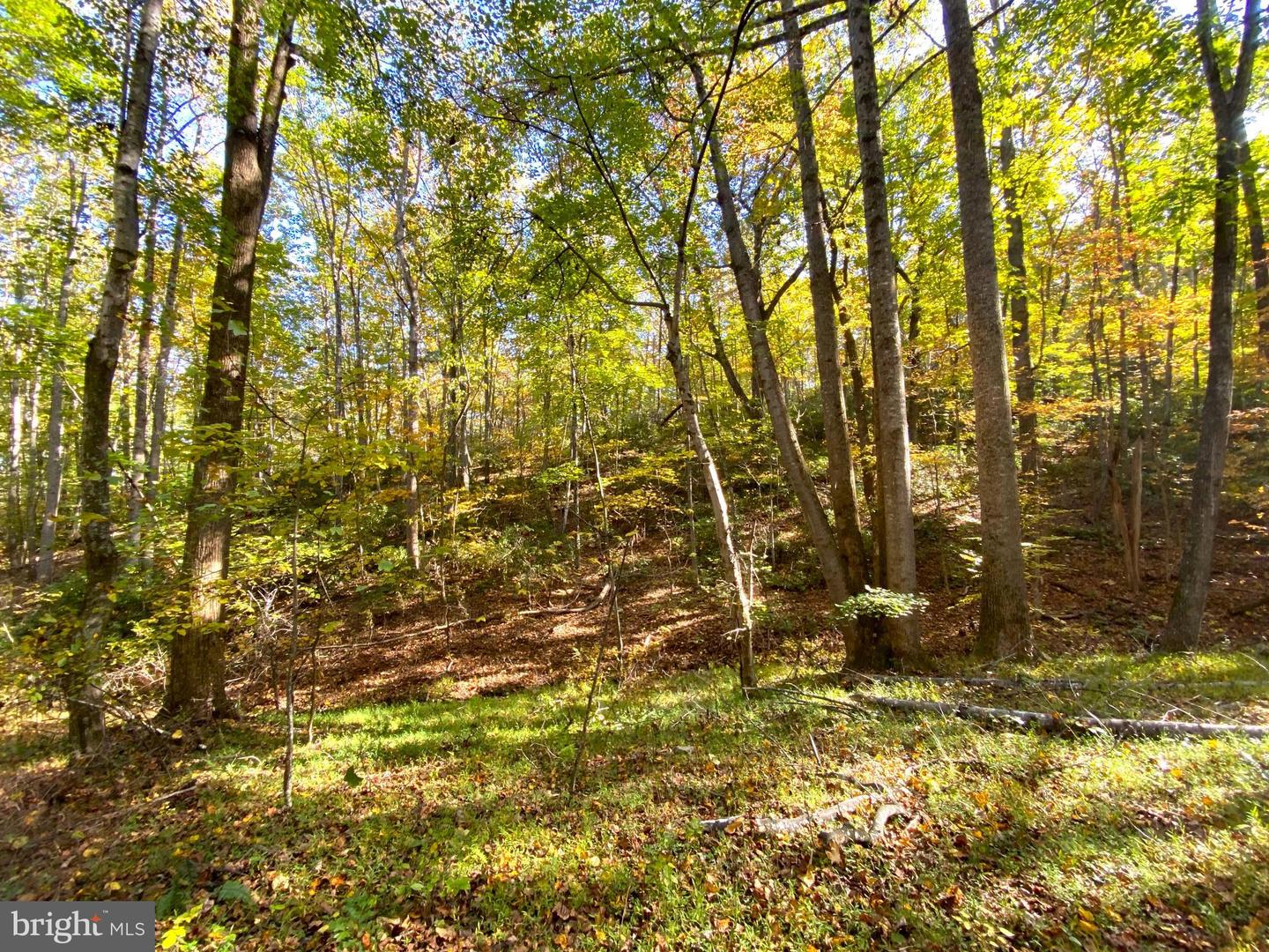 0 CASTLETON VIEW ROAD, CASTLETON, Virginia 22716, ,Land,For sale,0 CASTLETON VIEW ROAD,VARP2002454 MLS # VARP2002454