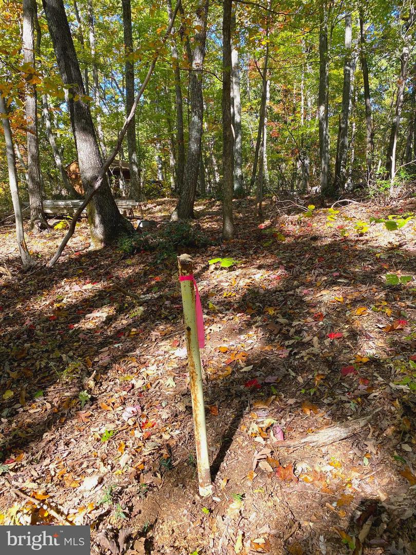 0 CASTLETON VIEW ROAD, CASTLETON, Virginia 22716, ,Land,For sale,0 CASTLETON VIEW ROAD,VARP2002454 MLS # VARP2002454