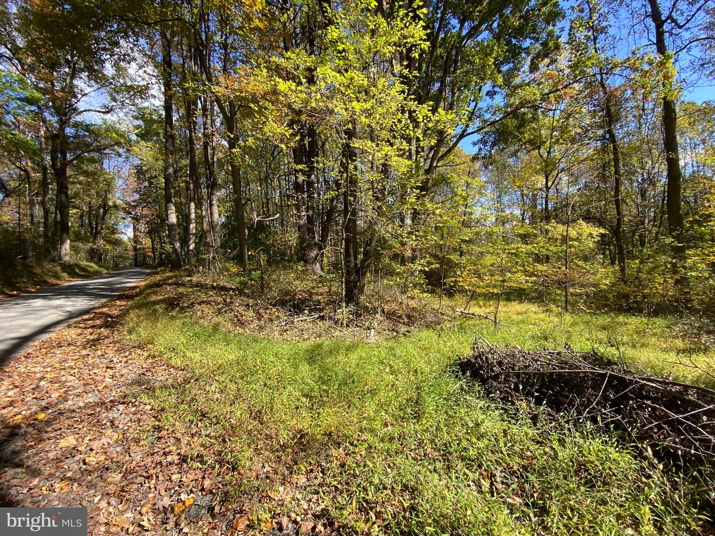 0 CASTLETON VIEW ROAD, CASTLETON, Virginia 22716, ,Land,For sale,0 CASTLETON VIEW ROAD,VARP2002454 MLS # VARP2002454