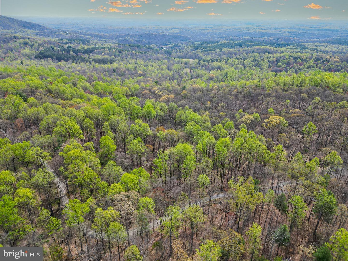 0 CASTLETON VIEW ROAD, CASTLETON, Virginia 22716, ,Land,For sale,0 CASTLETON VIEW ROAD,VARP2002454 MLS # VARP2002454