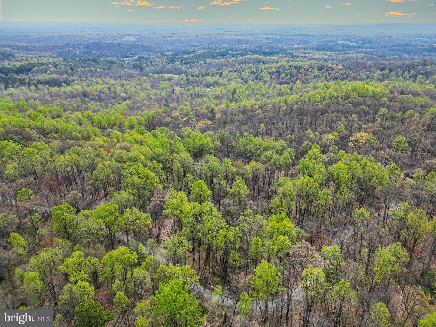 0 CASTLETON VIEW ROAD, CASTLETON, Virginia 22716, ,Land,For sale,0 CASTLETON VIEW ROAD,VARP2002454 MLS # VARP2002454