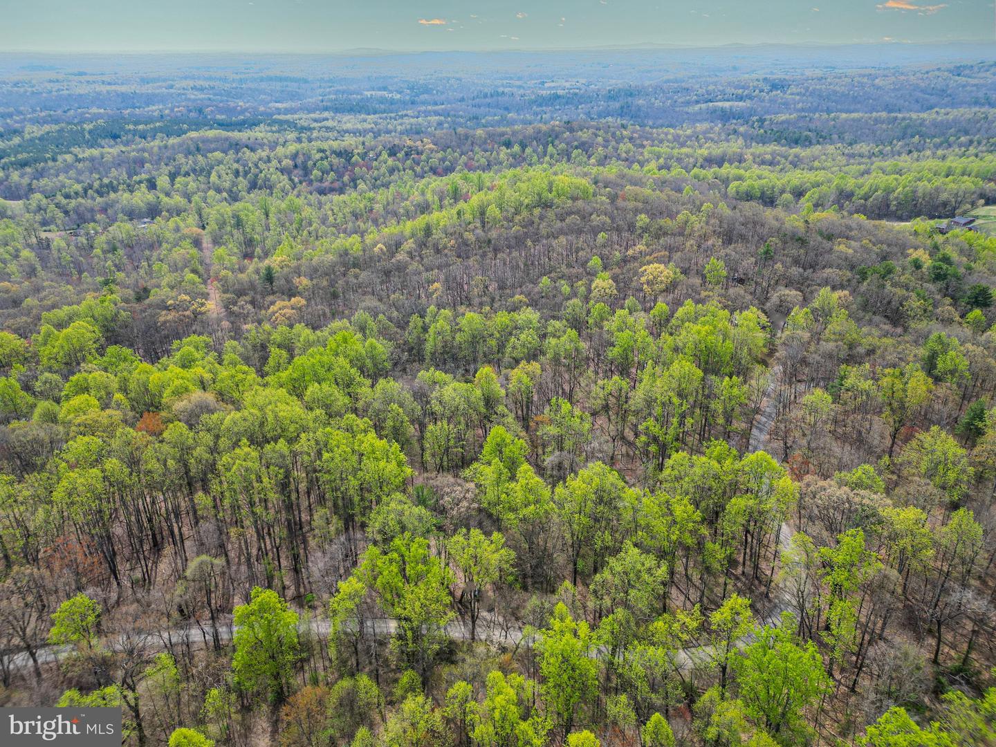 0 CASTLETON VIEW ROAD, CASTLETON, Virginia 22716, ,Land,For sale,0 CASTLETON VIEW ROAD,VARP2002454 MLS # VARP2002454