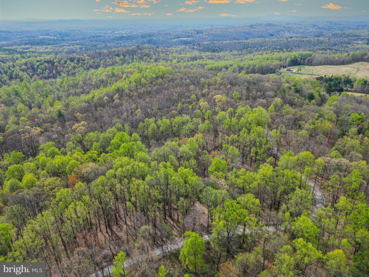 0 CASTLETON VIEW ROAD, CASTLETON, Virginia 22716, ,Land,For sale,0 CASTLETON VIEW ROAD,VARP2002454 MLS # VARP2002454