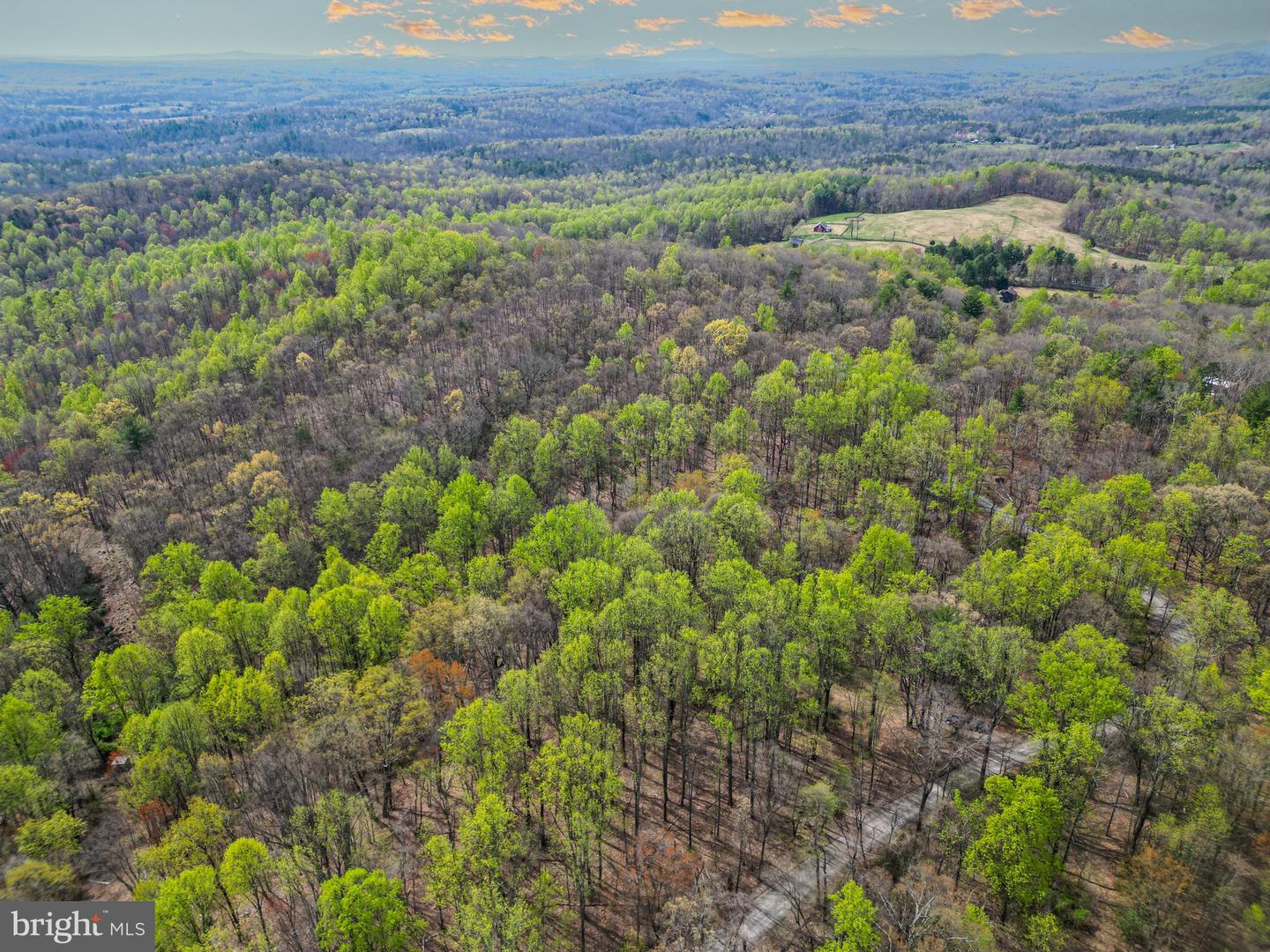 0 CASTLETON VIEW ROAD, CASTLETON, Virginia 22716, ,Land,For sale,0 CASTLETON VIEW ROAD,VARP2002454 MLS # VARP2002454