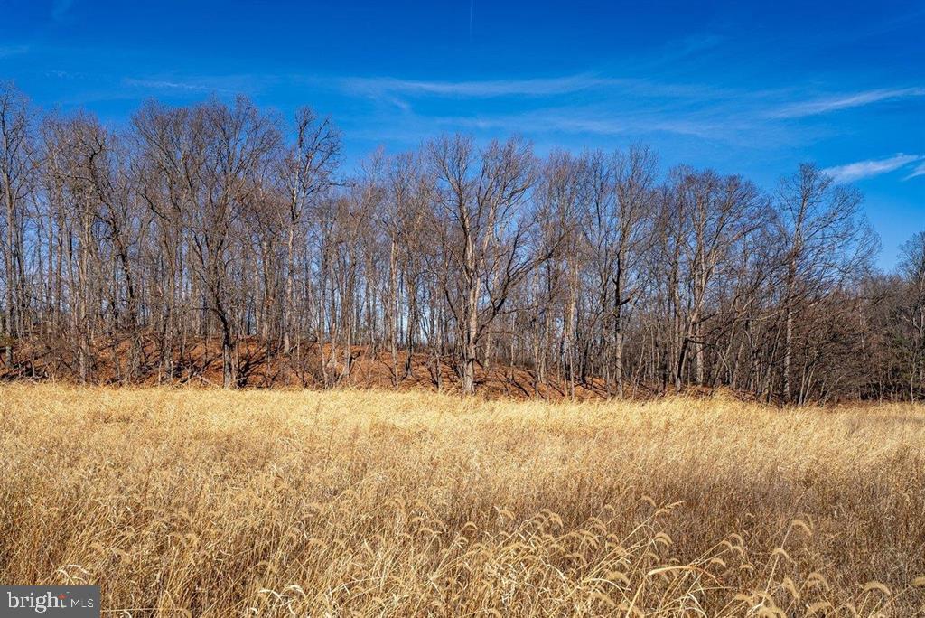 0 SUMMIT CHURCH, MOUNT CRAWFORD, Virginia 22841, ,Land,For sale,0 SUMMIT CHURCH,VAAG2002734 MLS # VAAG2002734