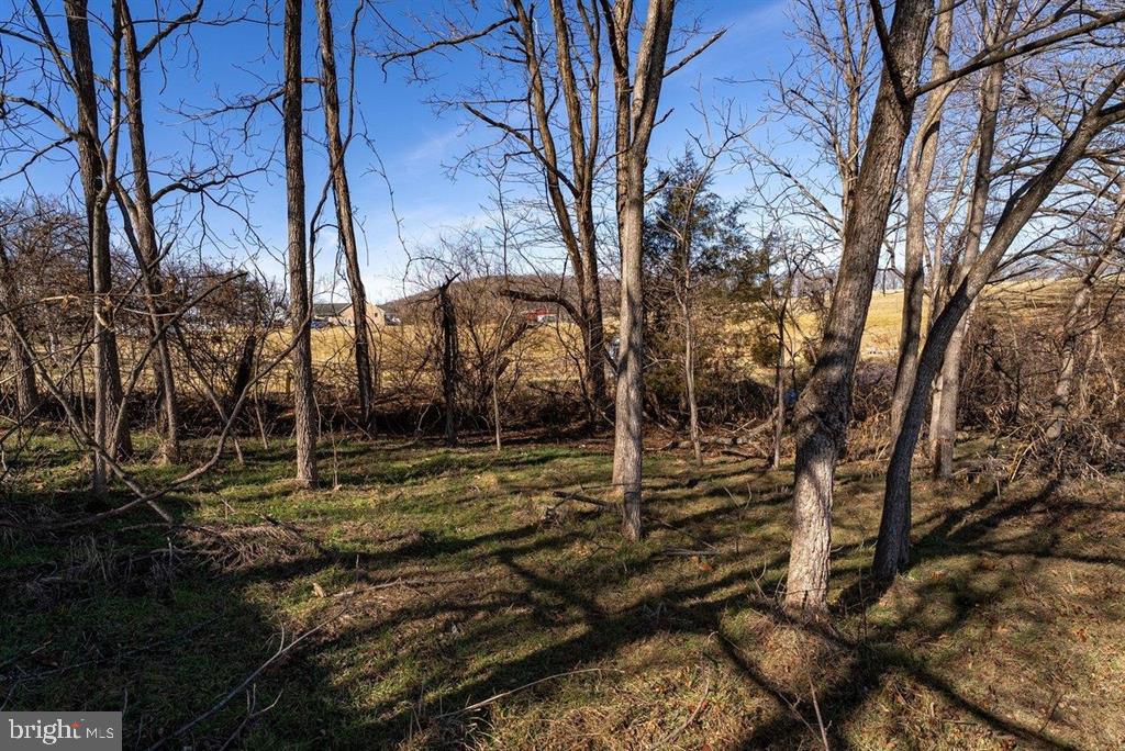 0 SUMMIT CHURCH, MOUNT CRAWFORD, Virginia 22841, ,Land,For sale,0 SUMMIT CHURCH,VAAG2002734 MLS # VAAG2002734