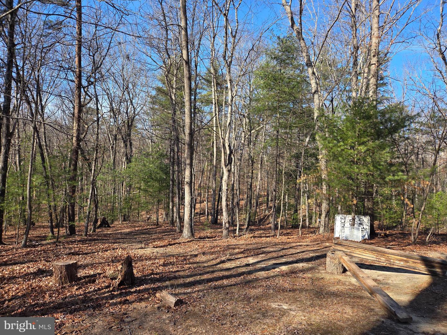 2034 JEROME RD, MOUNT JACKSON, Virginia 22842, ,Land,For sale,2034 JEROME RD,VASH2013542 MLS # VASH2013542