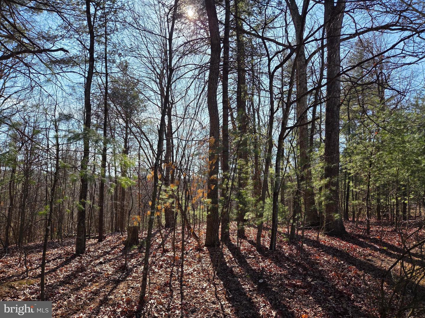 2034 JEROME RD, MOUNT JACKSON, Virginia 22842, ,Land,For sale,2034 JEROME RD,VASH2013542 MLS # VASH2013542